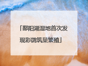 鄱阳湖湿地首次发现彩鹮筑巢繁殖