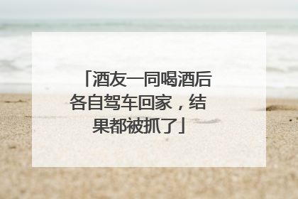 酒友一同喝酒后各自驾车回家，结果都被抓了
