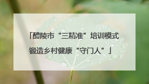 醴陵市“三精准”培训模式锻造乡村健康“守门人”