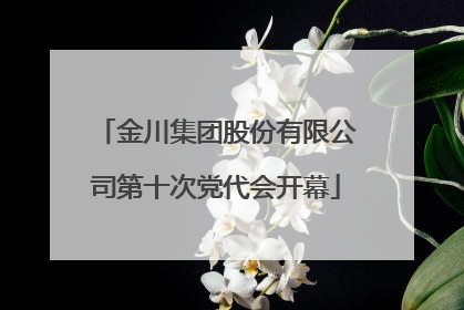 金川集团股份有限公司第十次党代会开幕