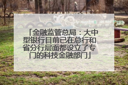 金融监管总局：大中型银行目前已在总行和省分行层面都设立了专门的科技金融部门