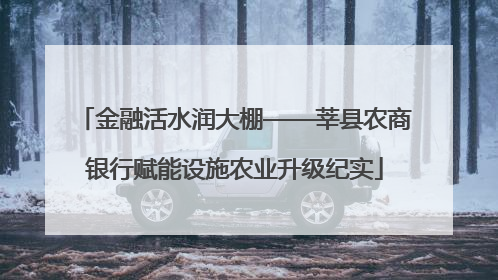 金融活水润大棚——莘县农商银行赋能设施农业升级纪实