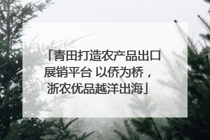 青田打造农产品出口展销平台 以侨为桥，浙农优品越洋出海