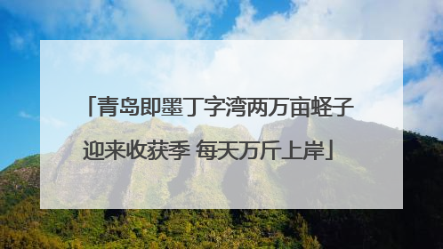 青岛即墨丁字湾两万亩蛏子迎来收获季 每天万斤上岸