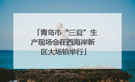 青岛市“三夏”生产现场会在西海岸新区大场镇举行