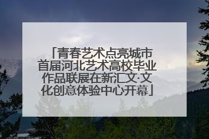 青春艺术点亮城市 首届河北艺术高校毕业作品联展在新汇文·文化创意体验中心开幕