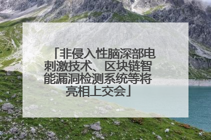 非侵入性脑深部电刺激技术、区块链智能漏洞检测系统等将亮相上交会
