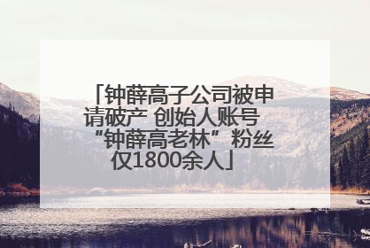 钟薛高子公司被申请破产 创始人账号“钟薛高老林”粉丝仅1800余人