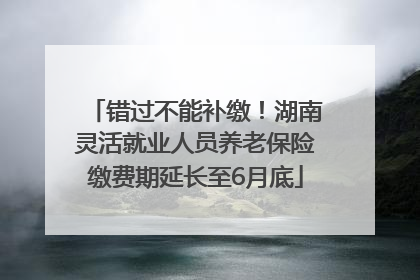 错过不能补缴！湖南灵活就业人员养老保险缴费期延长至6月底
