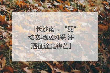 长沙南：“羽”动赛场展风采 汗洒征途竞锋芒