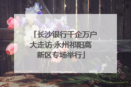 长沙银行千企万户大走访·永州祁阳高新区专场举行