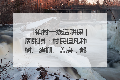 镇村一线话耕保｜周张博：村民但凡种树、建棚、盖房，都要向街道报批