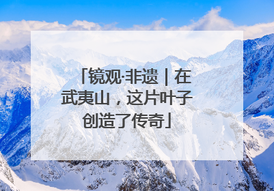 镜观·非遗｜在武夷山，这片叶子创造了传奇