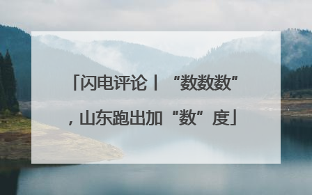 闪电评论丨“数数数”，山东跑出加“数”度