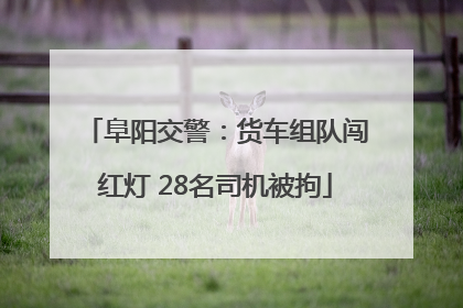 阜阳交警：货车组队闯红灯 28名司机被拘