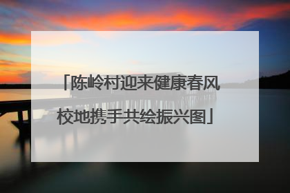 陈岭村迎来健康春风 校地携手共绘振兴图