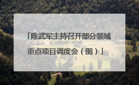 陈武军主持召开部分领域重点项目调度会（图）