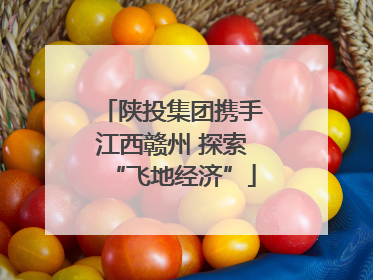 陕投集团携手江西赣州 探索“飞地经济”