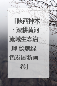 陕西神木：深耕黄河流域生态治理 绘就绿色发展新画卷