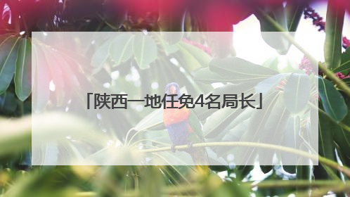 陕西一地任免4名局长
