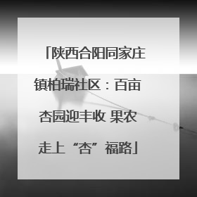 陕西合阳同家庄镇柏瑞社区：百亩杏园迎丰收 果农走上“杏”福路