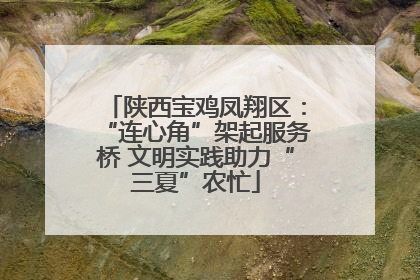 陕西宝鸡凤翔区：“连心角”架起服务桥 文明实践助力“三夏”农忙