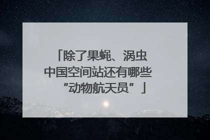 除了果蝇、涡虫 中国空间站还有哪些“动物航天员”