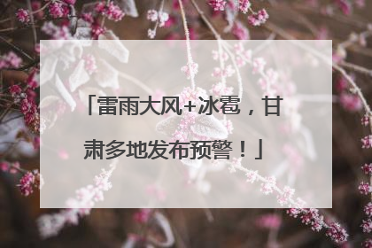 雷雨大风+冰雹，甘肃多地发布预警！