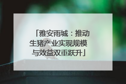 雅安雨城：推动生猪产业实现规模与效益双重跃升