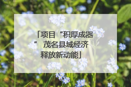 项目“积厚成器” 茂名县域经济释放新动能