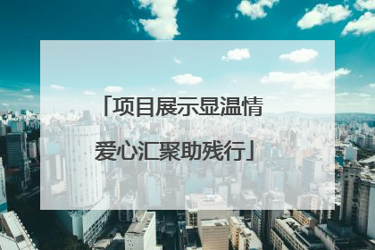 项目展示显温情 爱心汇聚助残行
