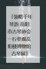 领略千年琴韵 岳阳市古琴协会一行参观岳阳楼博物馆古琴展