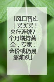 风口智库｜买买买！央行连续7个月增持黄金，专家：金价或仍易涨难跌
