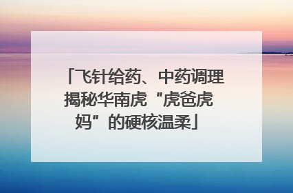 飞针给药、中药调理 揭秘华南虎“虎爸虎妈”的硬核温柔