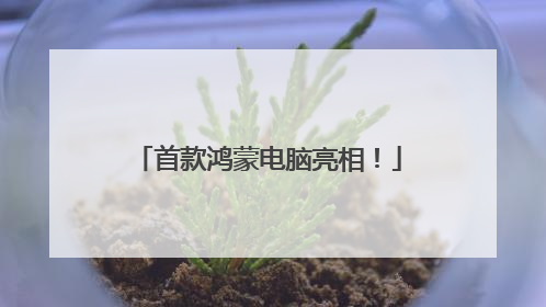 首款鸿蒙电脑亮相！