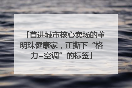 首进城市核心卖场的董明珠健康家，正撕下“格力=空调”的标签