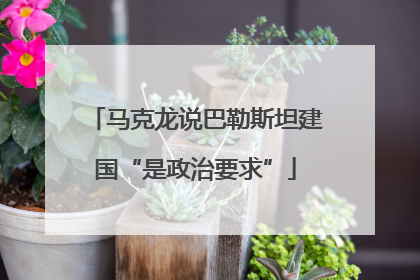 马克龙说巴勒斯坦建国“是政治要求”