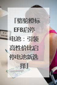 骆驼橙标EFB启停电池：引领高性价比启停电池新选择