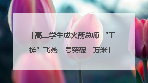 高二学生成火箭总师 “手搓”飞燕一号突破一万米