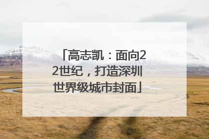 高志凯：面向22世纪，打造深圳世界级城市封面
