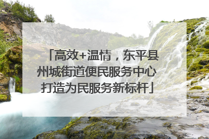 高效+温情，东平县州城街道便民服务中心打造为民服务新标杆