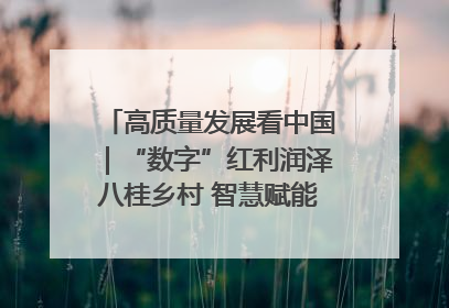 高质量发展看中国｜“数字”红利润泽八桂乡村 智慧赋能绘就振兴画卷