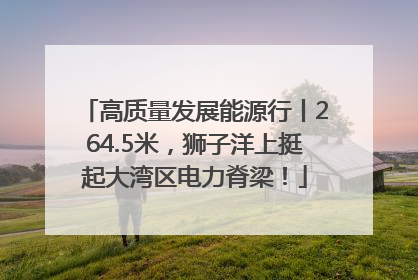 高质量发展能源行丨264.5米，狮子洋上挺起大湾区电力脊梁！