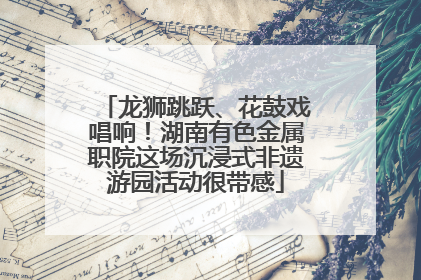 龙狮跳跃、花鼓戏唱响！湖南有色金属职院这场沉浸式非遗游园活动很带感