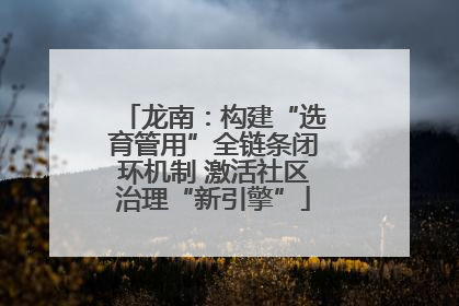 龙南：构建“选育管用”全链条闭环机制 激活社区治理“新引擎”