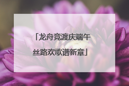 龙舟竞渡庆端午 丝路欢歌谱新章