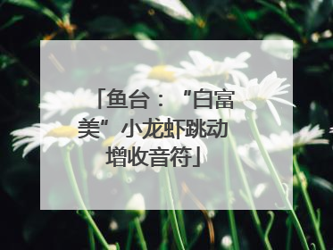 鱼台：“白富美”小龙虾跳动增收音符