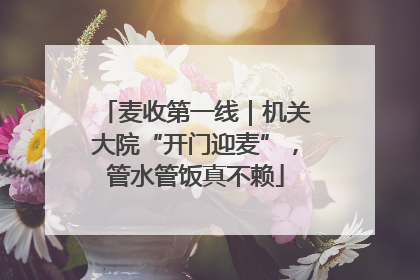 麦收第一线｜机关大院“开门迎麦”，管水管饭真不赖