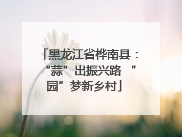 黑龙江省桦南县：“蒜”出振兴路 “园”梦新乡村
