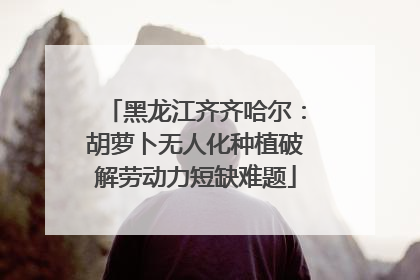 黑龙江齐齐哈尔：胡萝卜无人化种植破解劳动力短缺难题